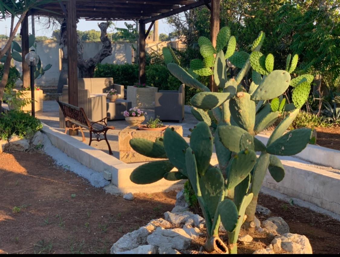B&B Masseria Nova Torre San Giovanni Ugento Eksteriør billede