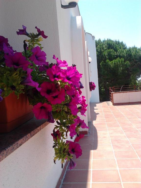 B&B Masseria Nova Torre San Giovanni Ugento Eksteriør billede