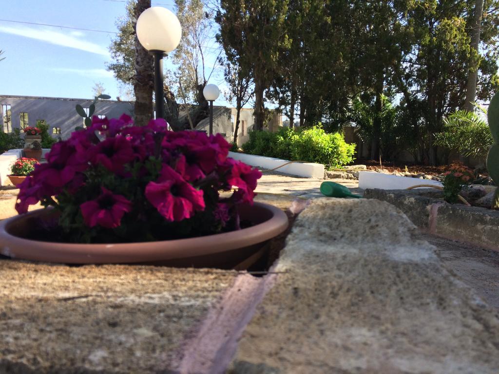 B&B Masseria Nova Torre San Giovanni Ugento Eksteriør billede